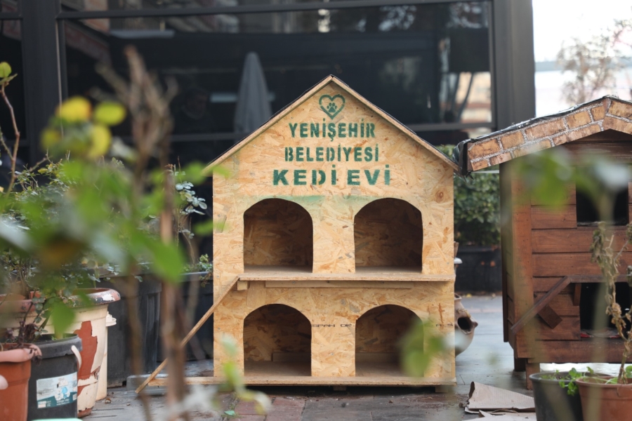 YENİŞEHİR’E 200 KEDİ VE KÖPEK EVİ