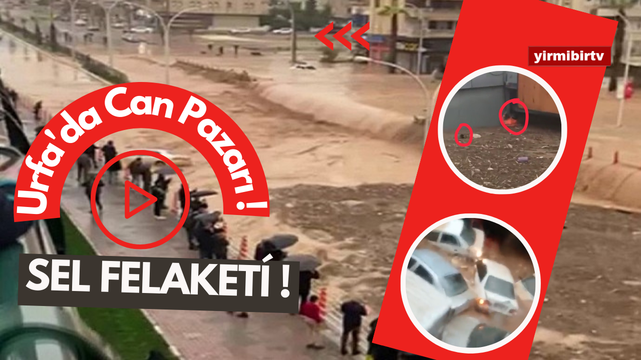 VİDEO -  Şanlıurfa