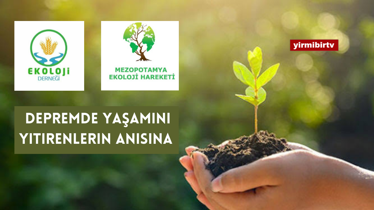 Bir fidanla yaşama sahip çık