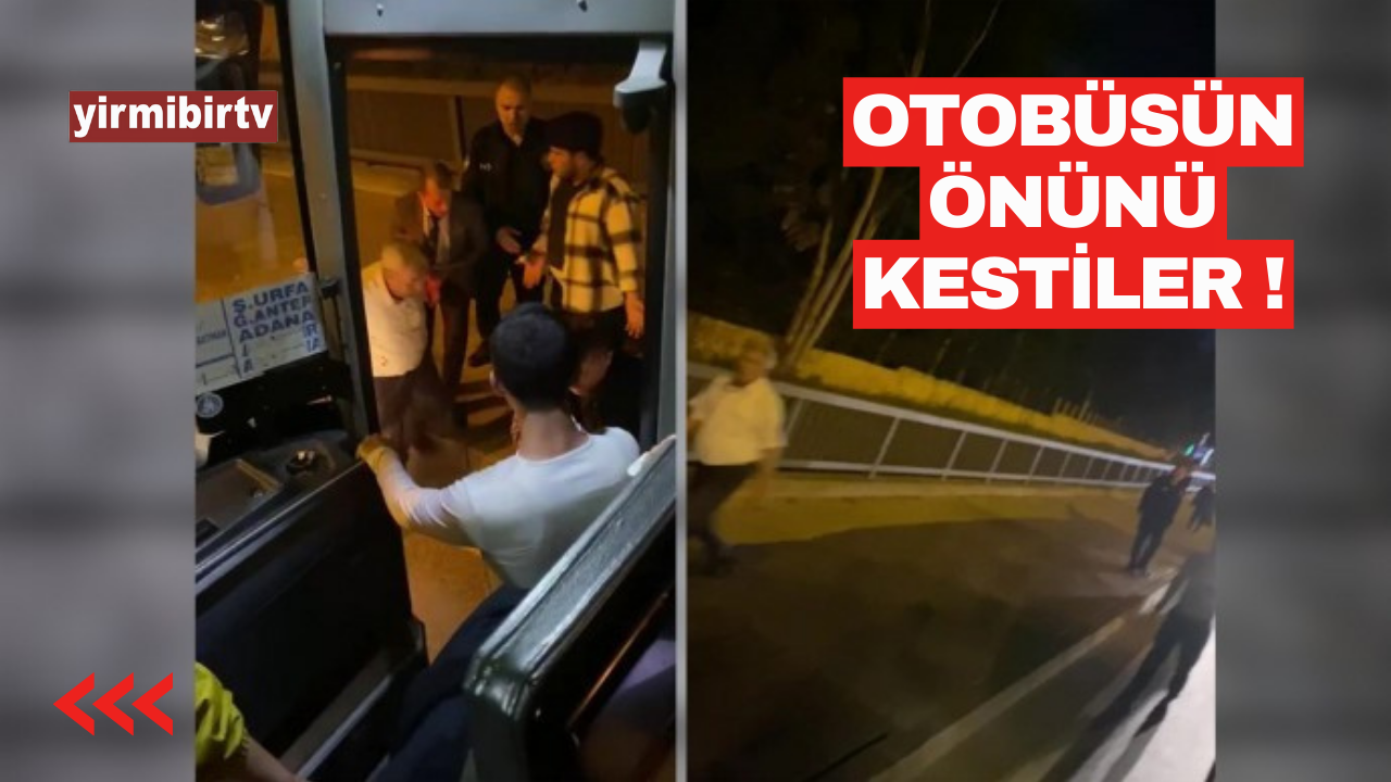 VİDEO - Alanya