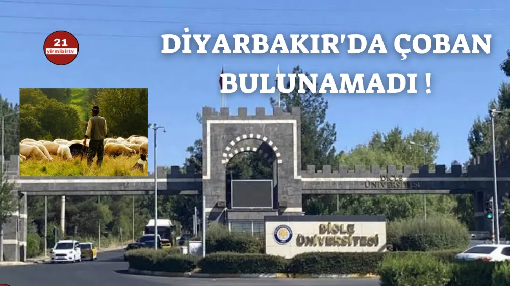 Dicle Üniversitesi istediği çobanı bulamadı