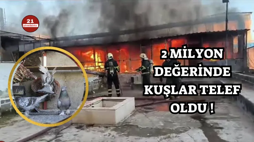 Diyarbakır