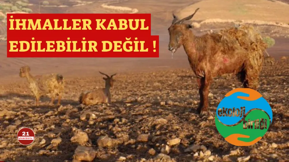  Emekli meclisleri sendikası ekoloji sekreteryası : Yangın felaketleriyle etkin mücadele devletin görevidir!