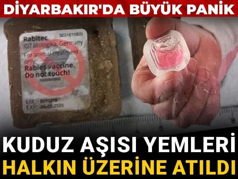 Diyarbakır’da Kuduz Aşısı Skandalı: Aşılı Yemler Yerleşim Alanlarına Düştü, Halk Panikledi