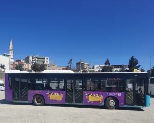 Diyarbakır