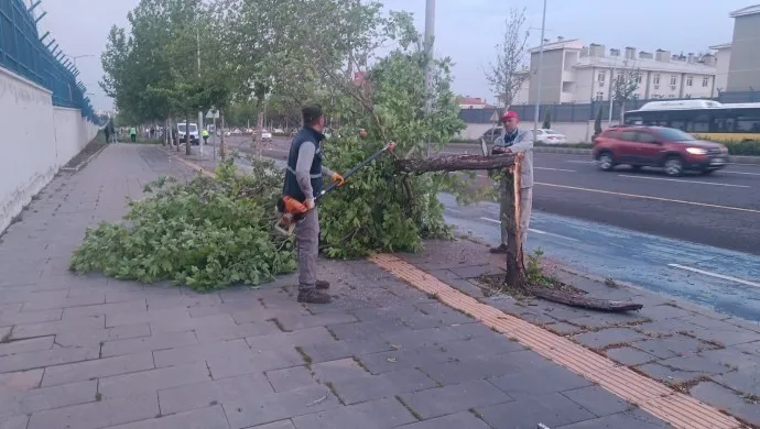 Diyarbakır’da Fırtına 370 Ağaca Zarar Verdi: Yerine Yeni Fidanlar Dikilecek