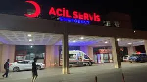 Diyarbakır’da elektrik akımı can aldı: Genç kadın ve keçisi yaşamını yitirdi