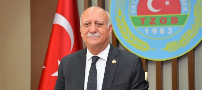 Ayçiçeğinde fiyat beklentisi 