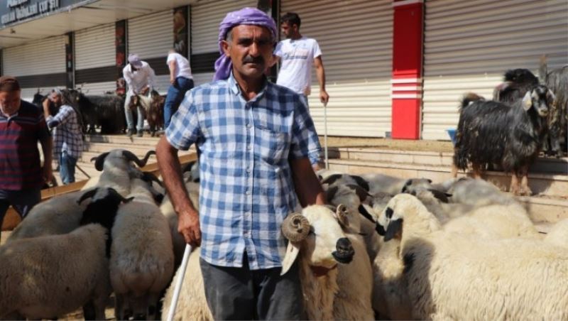 Kriz kurbanlık satışını vurdu