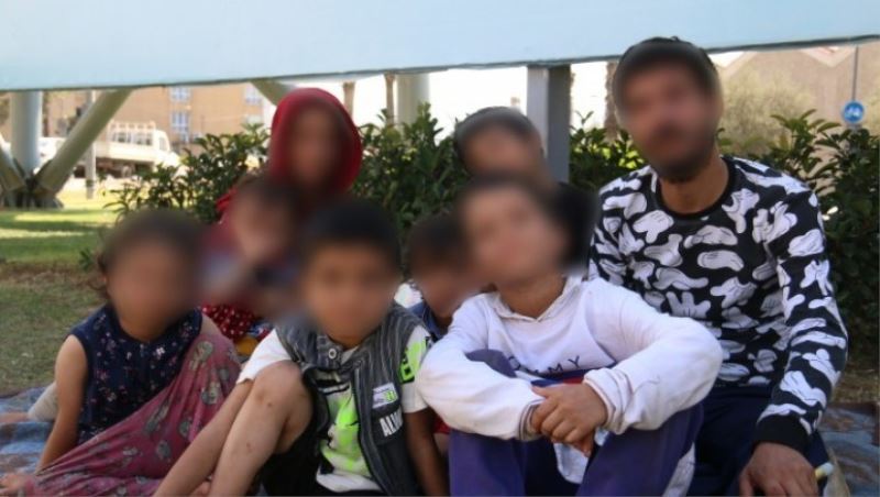 Ölümden kaçtılar, sokakta kaldılar